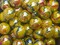 Lot of 10 TROPICANA Yellow/Red Glass Marbles 25mm (1 inch) shooter
